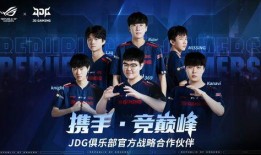 爆料训练赛视频